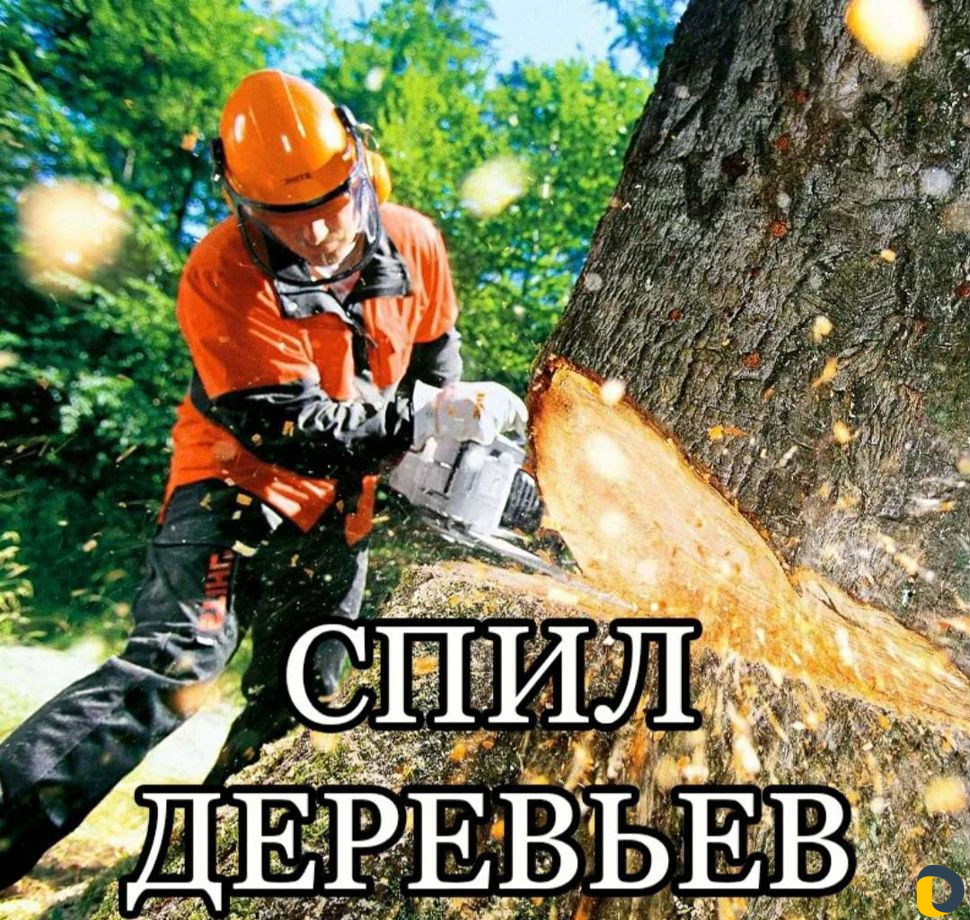 Спил деревьев