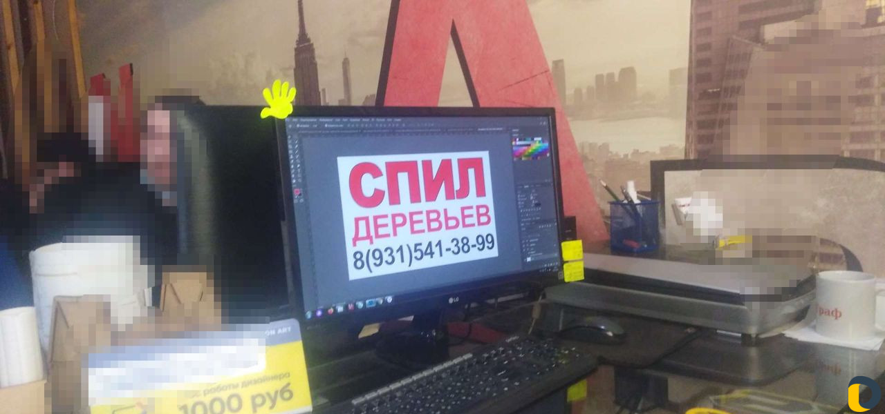 Спил деревьев