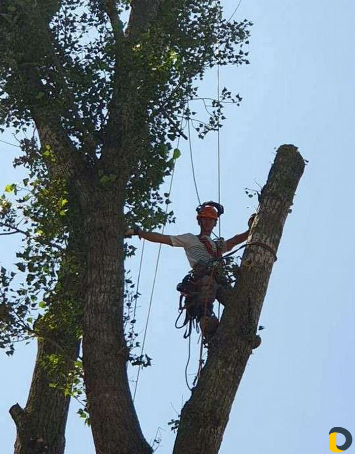 Спил деревьев,вывоз веток,чистка участков