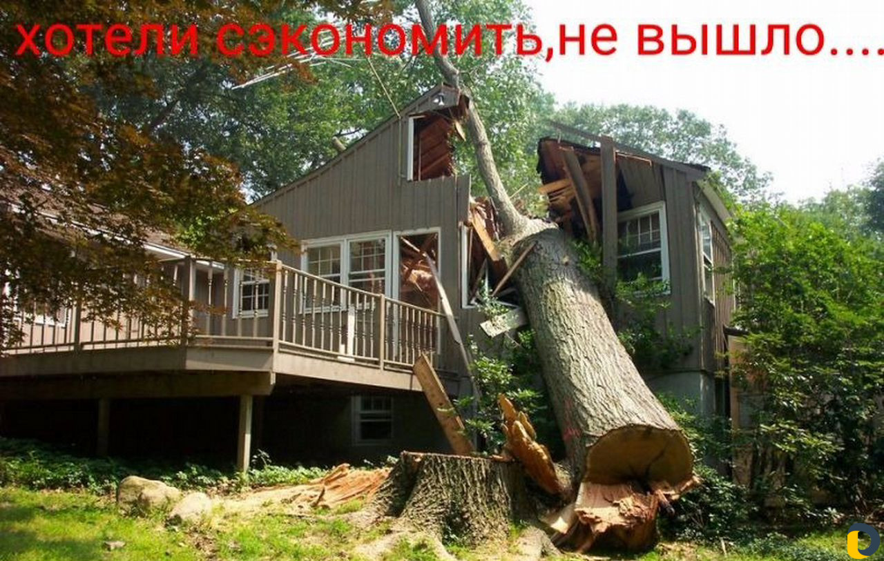 Спил деревьев,вывоз веток,чистка участков