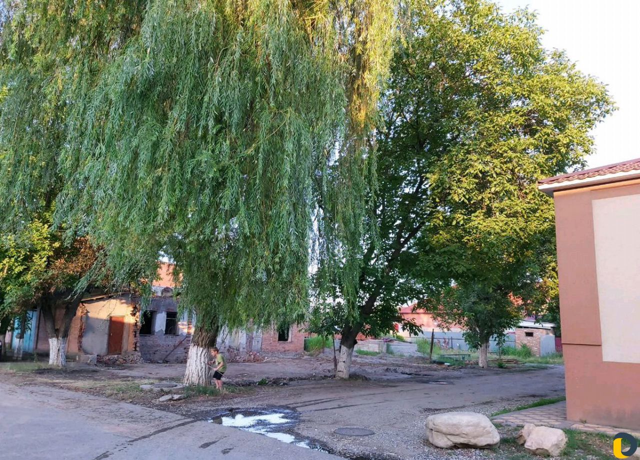 Спил спиливаем деревья вырубаем обрезка пилим любо