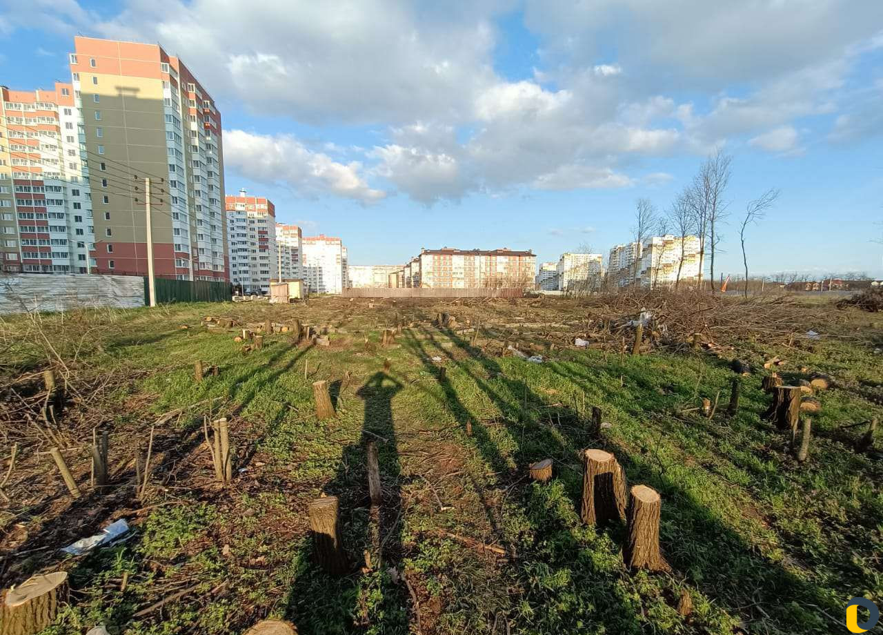 Спил валка деревьев,выкорчевка пней,уборка участка