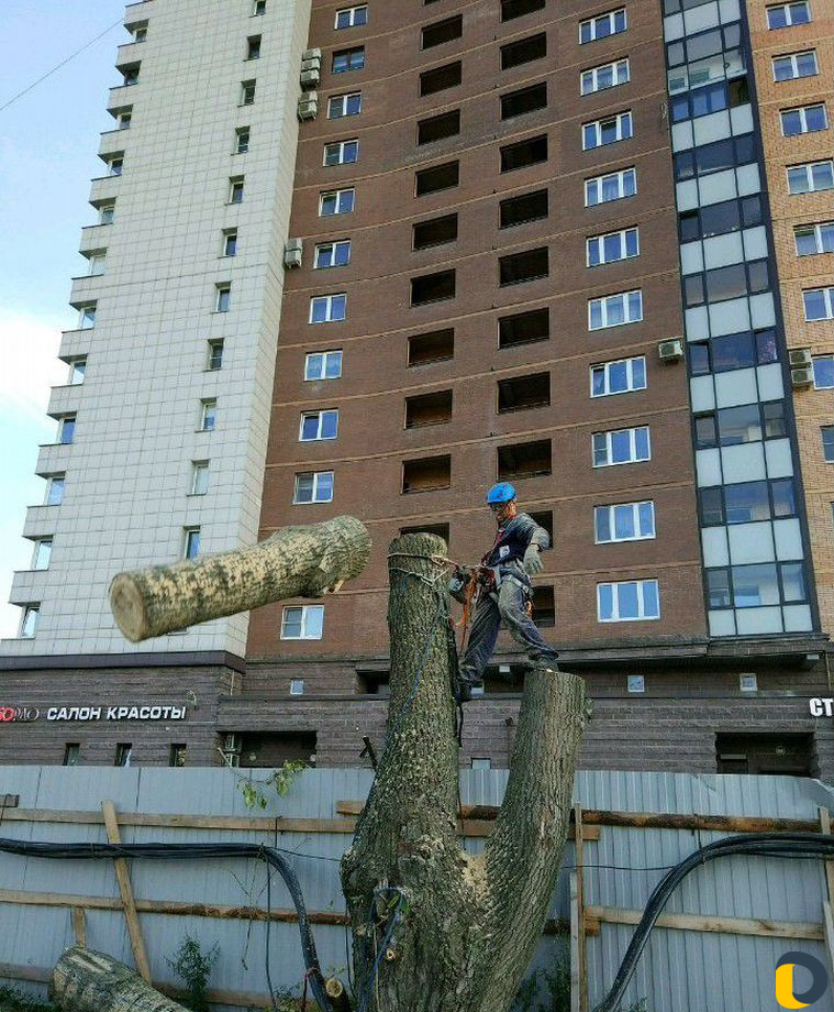 Спил валка деревьев,выкорчевка пней,уборка участка