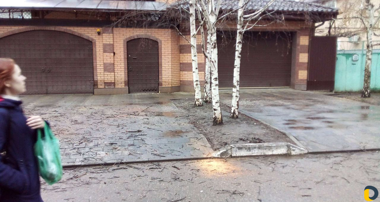 Спил валка деревьев,выкорчевка пней,уборка участка