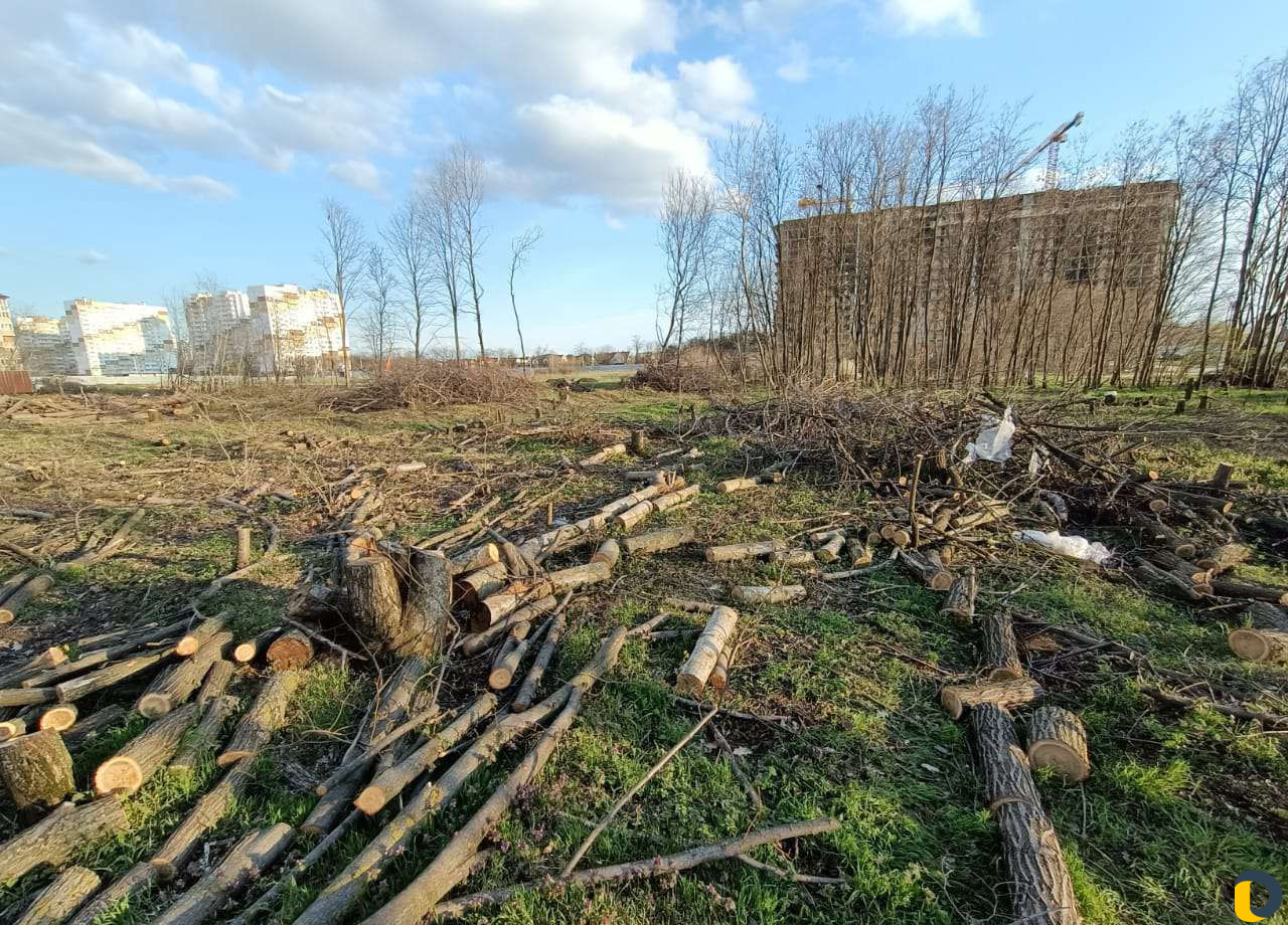 Спил валка деревьев,выкорчевка пней,уборка участка