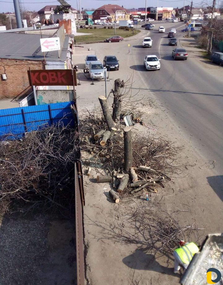 Спил валка деревьев,выкорчевка пней,уборка участка