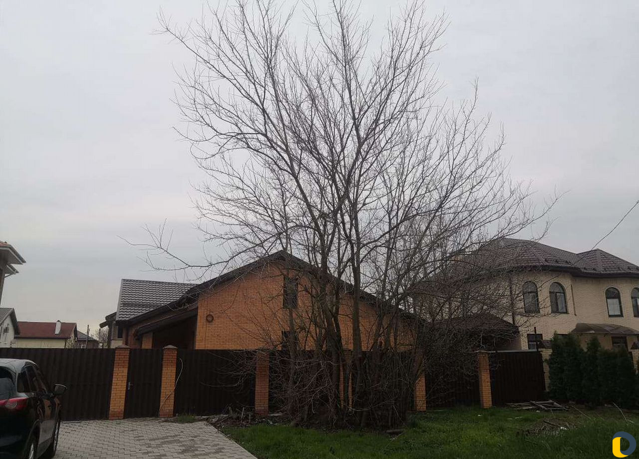 Спил валка деревьев,выкорчевка пней,уборка участка