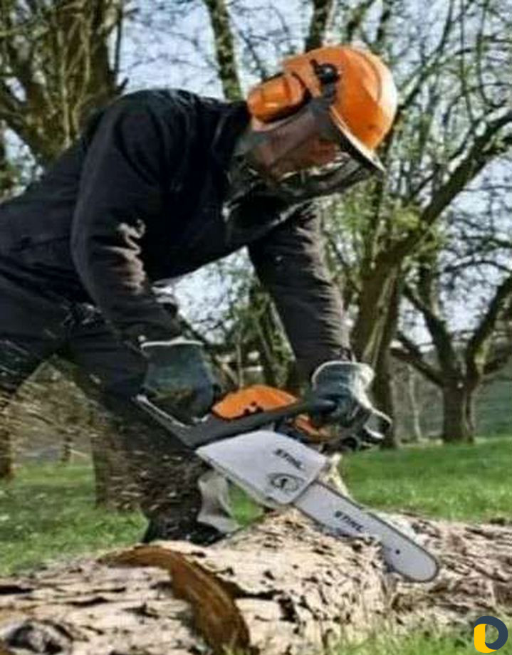 Спиливание деревьев