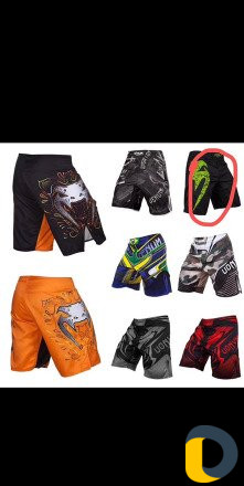 Спорт