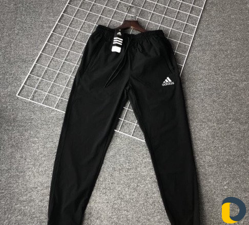 Спорт