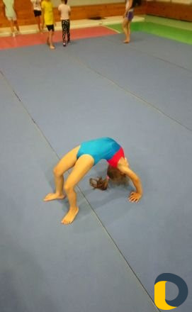 Спорт