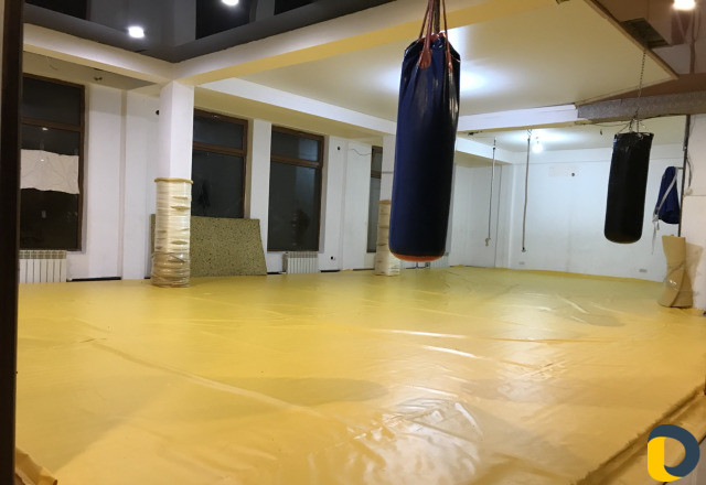 Спортивная борьба «вольная»