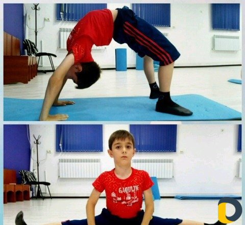 Спортивная гимнастика. Подготовка к спорту