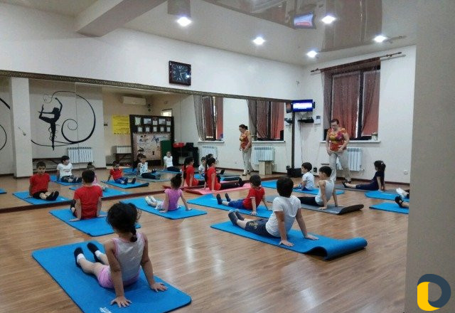 Спортивная гимнастика. Подготовка к спорту
