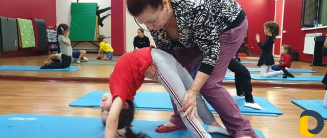 Спортивная гимнастика. Подготовка к спорту