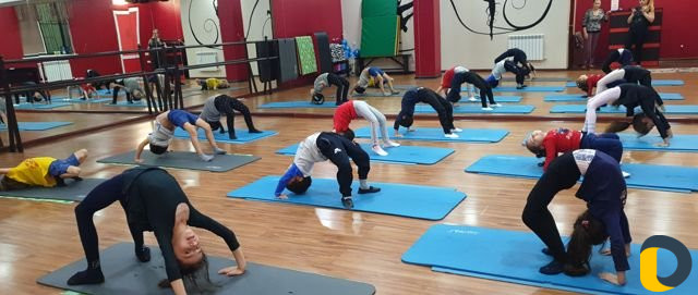 Спортивная гимнастика. Подготовка к спорту