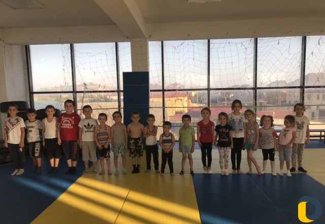 Спортивная гимнастика