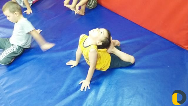 Спортивная гимнастика