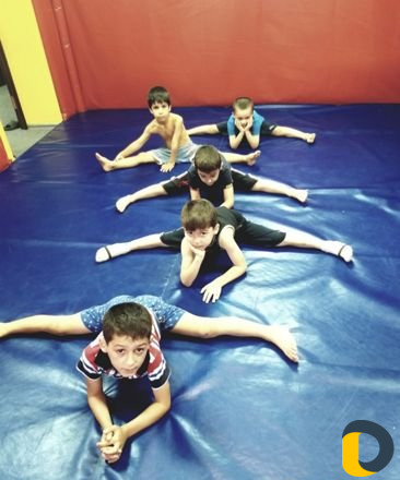 Спортивная гимнастика