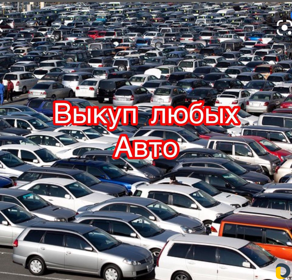 Срочный выкуп авто. Скупка авто