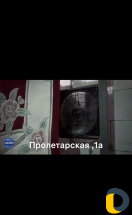 Стирка ковров