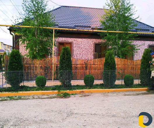 Стрижка декоративных деревьев и кустарников