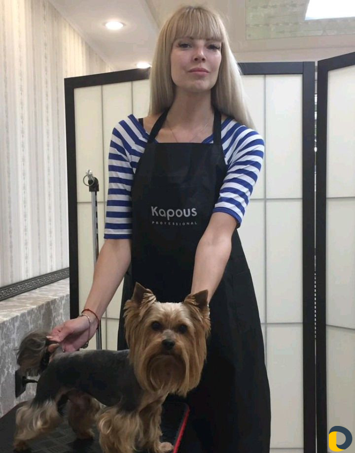 Стрижка кошек и собак, выезд, без наркоза