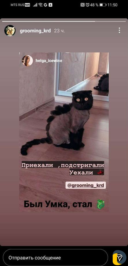 Стрижка котов и собак