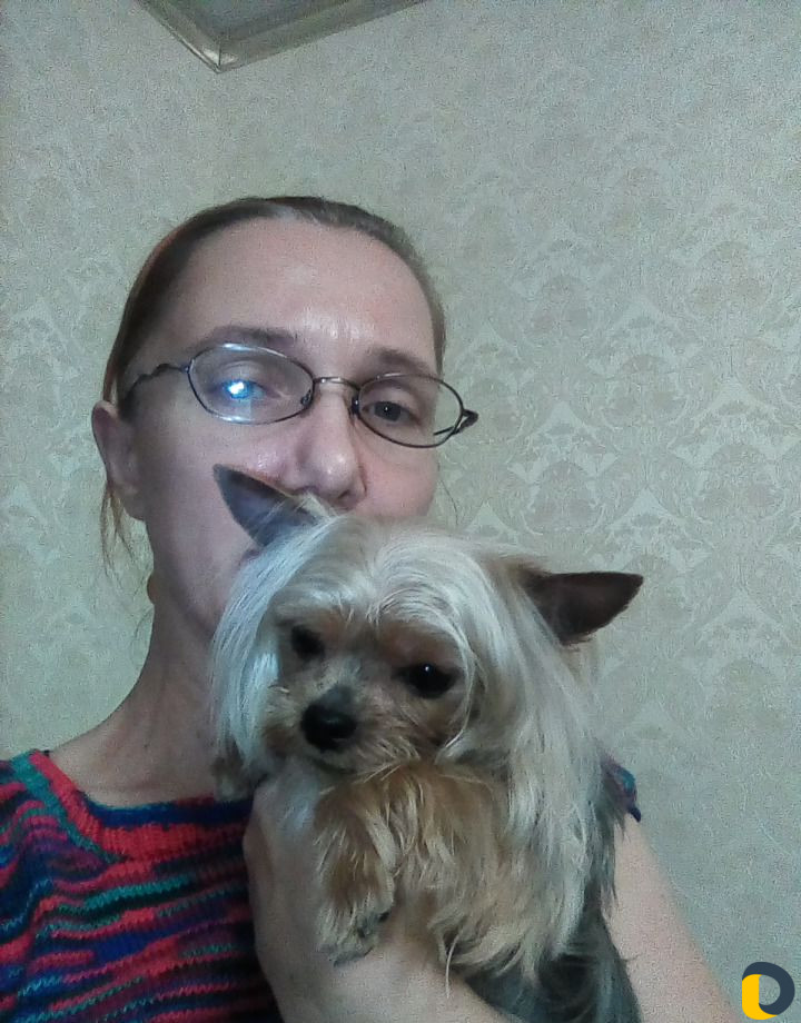 Стрижка собак и кошек с выездом в любой район Сочи