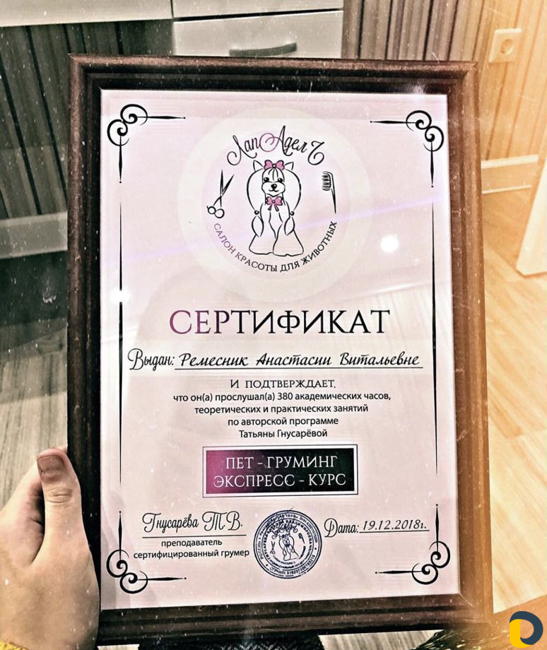 Стрижка собак и кошек
