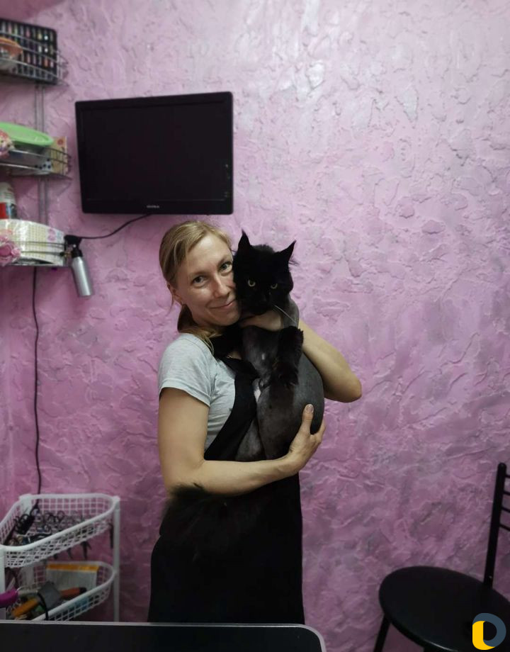 Стрижка собак и кошек
