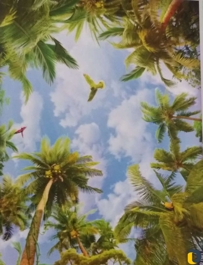 Строительство