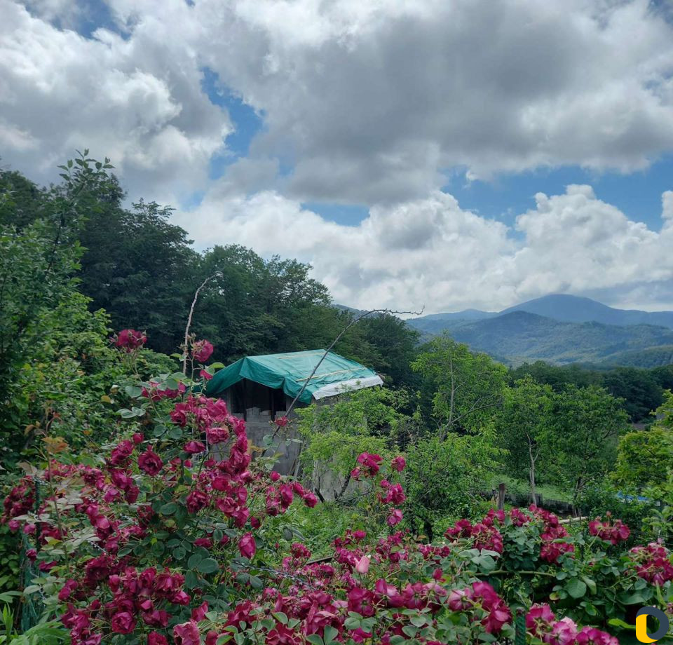 Строю крыши, мансарды, терассы