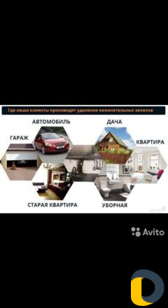 Сухой туман (устранение неприятных запахов)