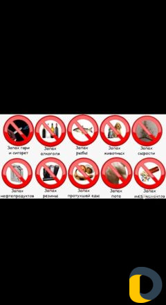 Сухой туман (устранение неприятных запахов)