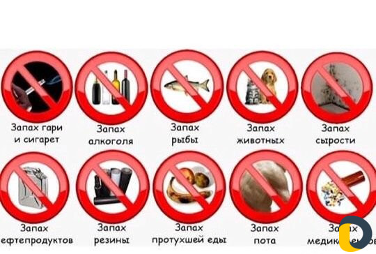 Сухой туман