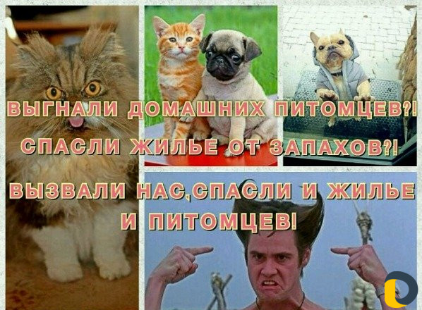 Сухой туман
