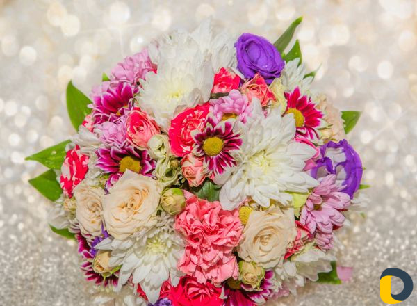 Свадебный фотограф девушка