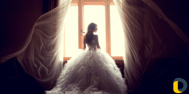 Свадебный Оператор