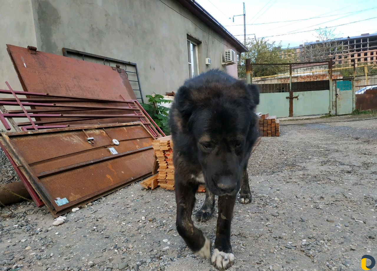 Сварщик по вызову