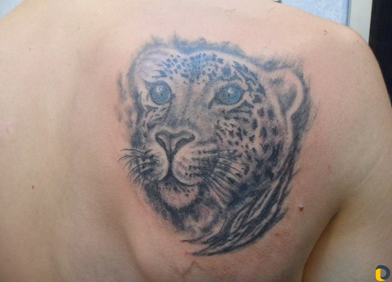 Tattoo студия - avenue