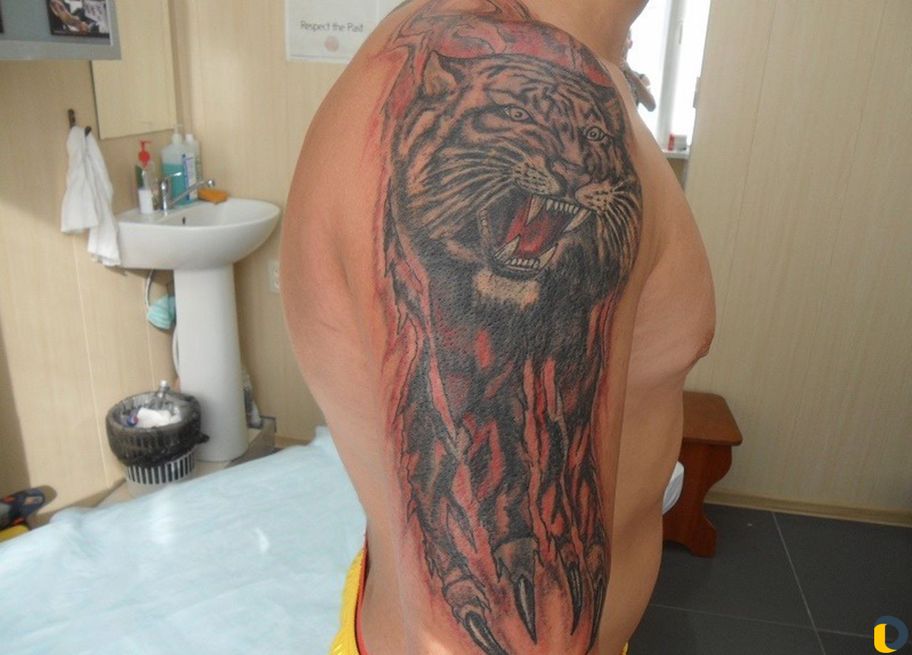 Tattoo студия - avenue