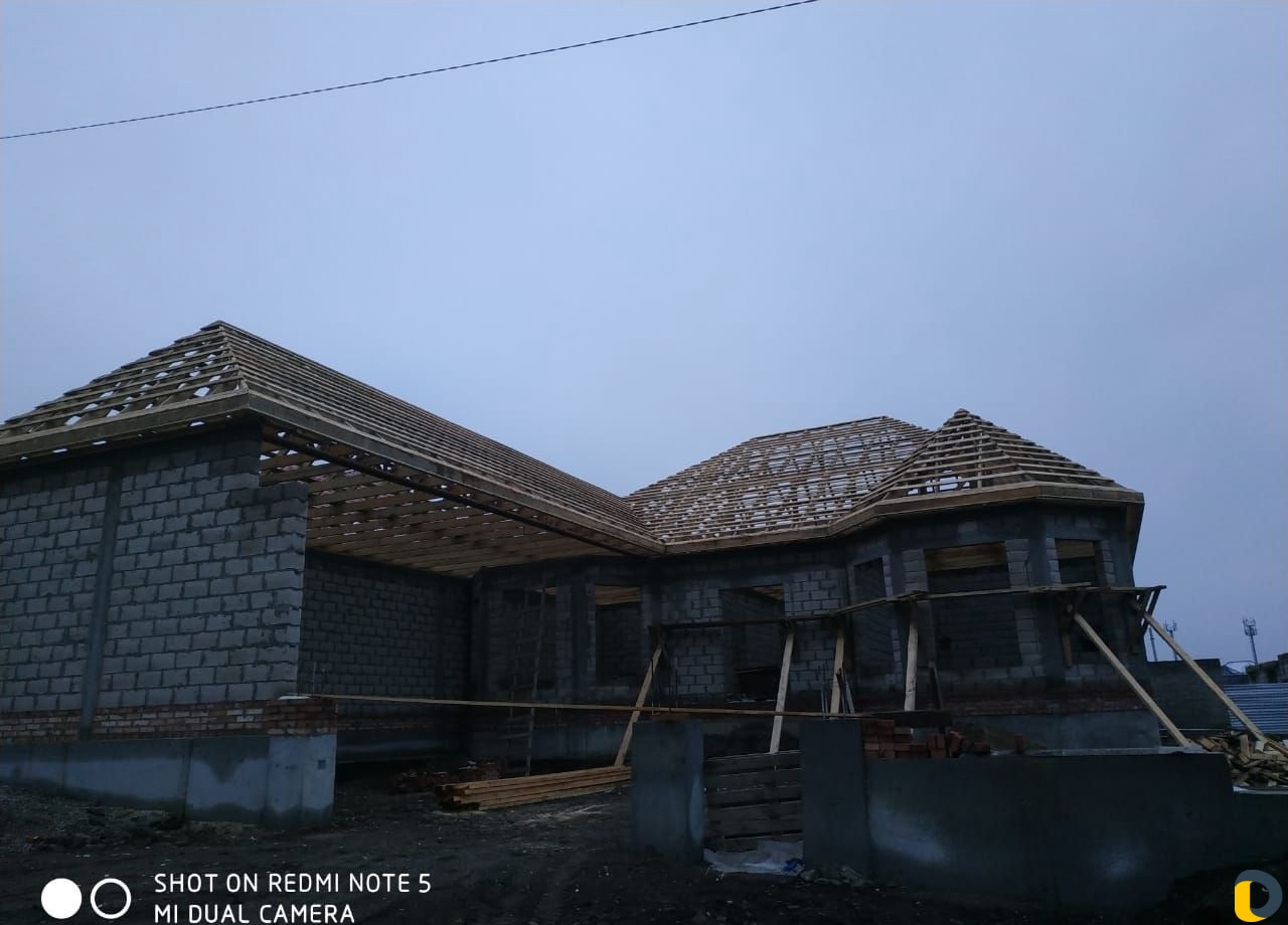 Только крыша и карнизы