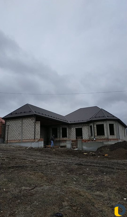 Только крыша и карнизы
