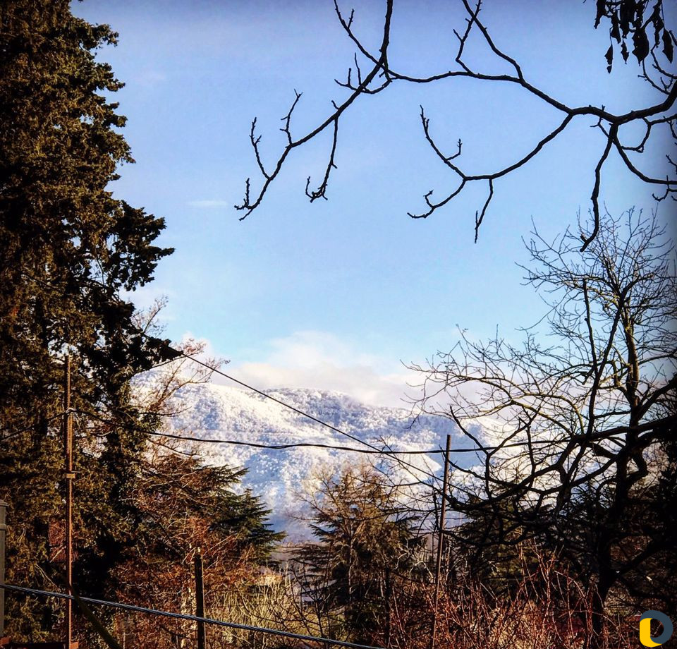 Трансфер/Перевозка/Доставка/Аренда авто с водителе