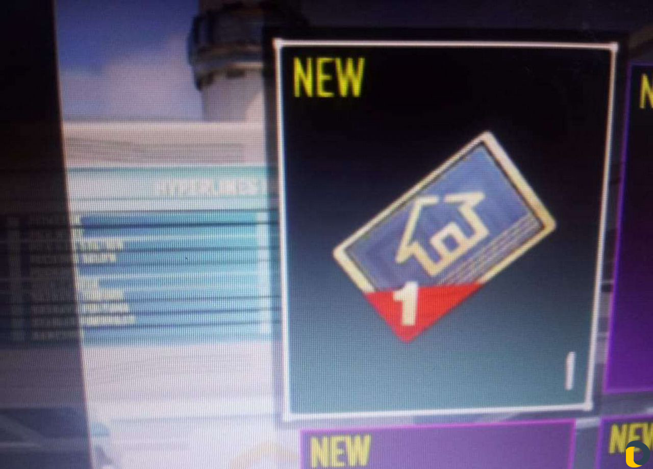 Тренер по пабгу