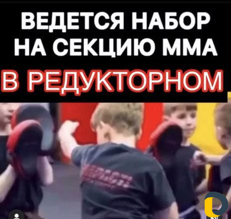Тренировки
