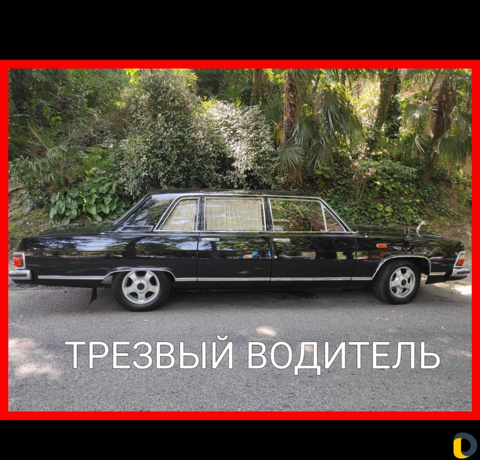 Трезвый водитель