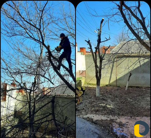 Уборка чистка участков спиливание деревьев