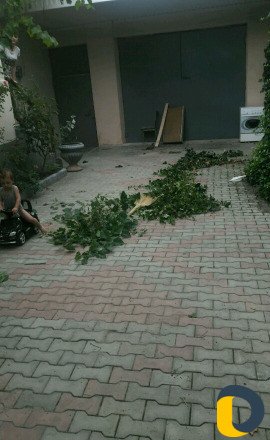 Уборка домов и квартир